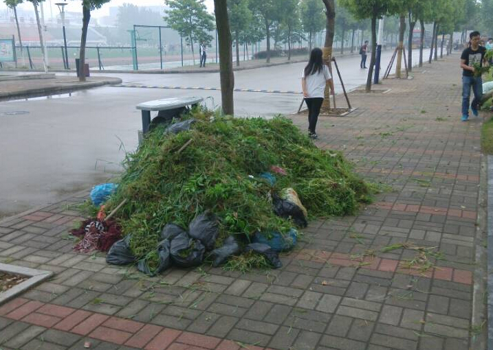 永利集团yl6809第十七期分党校开展服务实践活动之二——校园除草活动