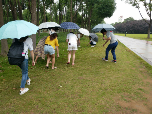 永利集团yl6809组织开展入党积极分子打扫公共卫生