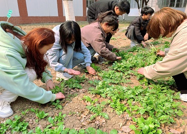 永利集团yl6809劳动教育实践活动