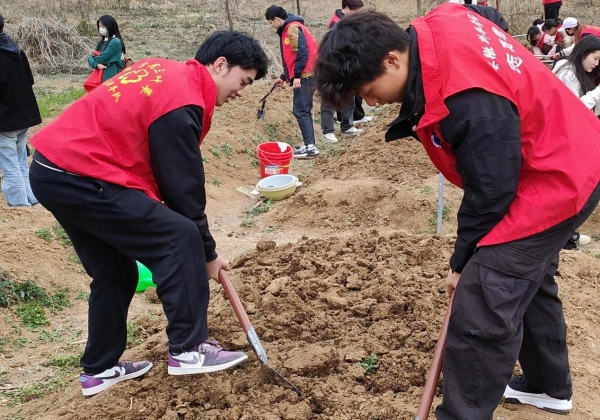 "C:\Users\86180\Desktop\图片4_600.jpg"