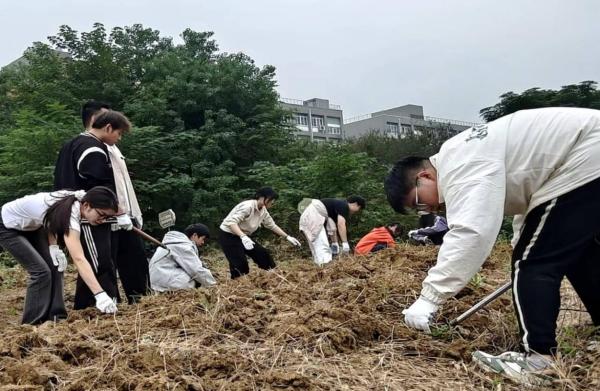 "C:\Users\王洁\Desktop\图片3600.jpg"